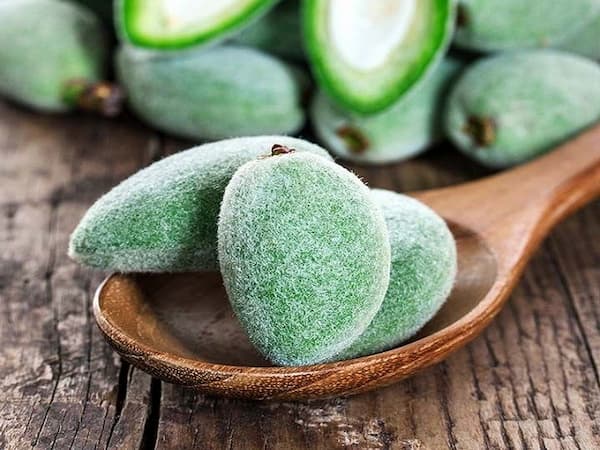 تصویر 3 از خرید و قیمت چغاله بادام تازه + فروش عمده